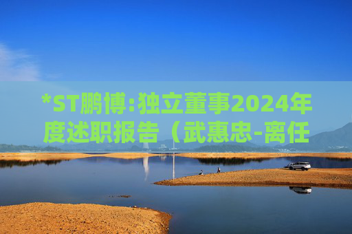 *ST鹏博:独立董事2024年度述职报告（武惠忠-离任）