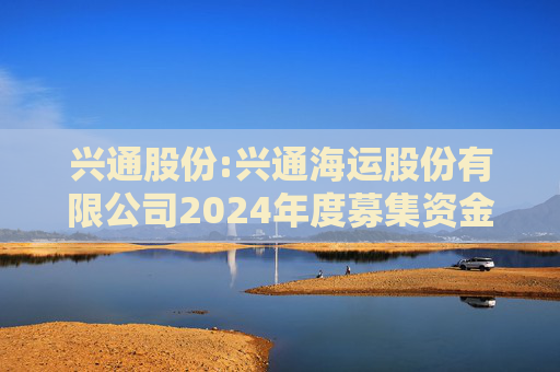 兴通股份:兴通海运股份有限公司2024年度募集资金存放与实际使用情况专项报告