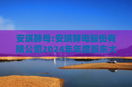 安琪酵母:安琪酵母股份有限公司2024年年度股东大会决议公告