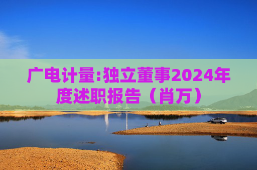 广电计量:独立董事2024年度述职报告(肖万)