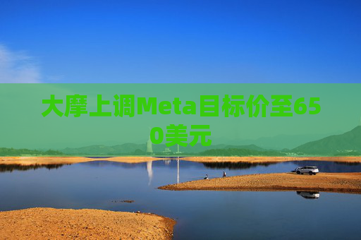 大摩上调Meta目标价至650美元