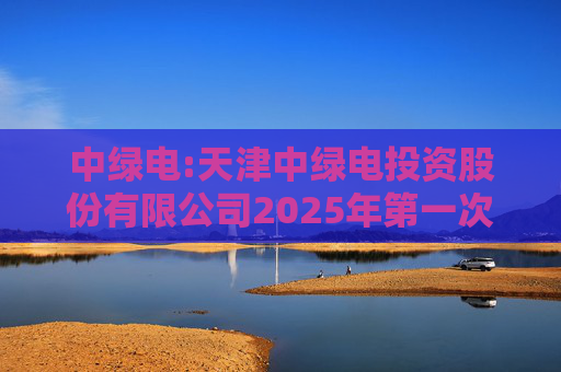 中绿电:天津中绿电投资股份有限公司2025年第一次临时股东大会决议公告