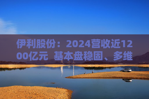 伊利股份：2024营收近1200亿元  基本盘稳固、多维度全面进阶