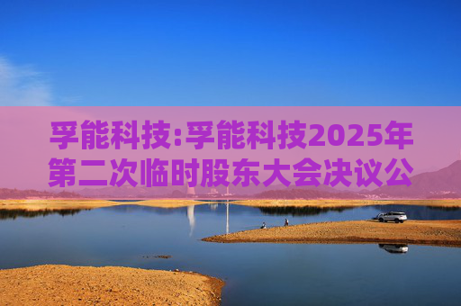 孚能科技:孚能科技2025年第二次临时股东大会决议公告  第1张