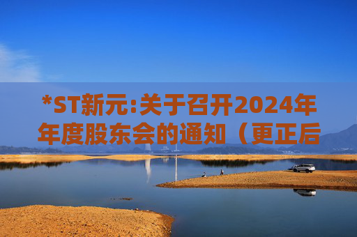 *ST新元:关于召开2024年年度股东会的通知（更正后）
