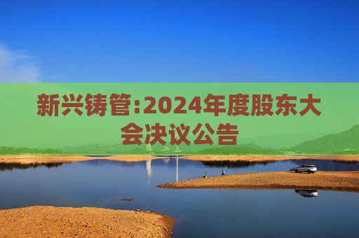 新兴铸管:2024年度股东大会决议公告