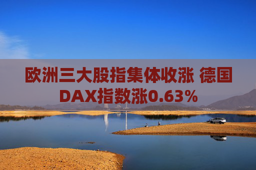 欧洲三大股指集体收涨 德国DAX指数涨0.63%