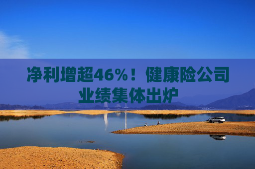 净利增超46%！健康险公司业绩集体出炉