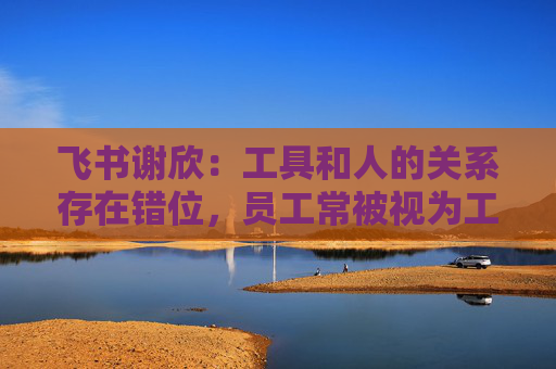 飞书谢欣：工具和人的关系存在错位，员工常被视为工具的附属