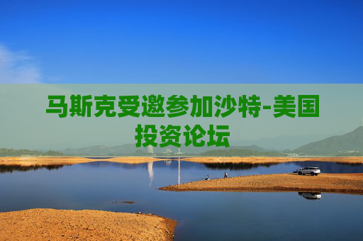 马斯克受邀参加沙特-美国投资论坛  第1张