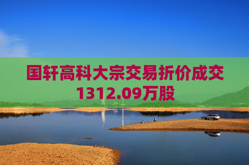 国轩高科大宗交易折价成交1312.09万股