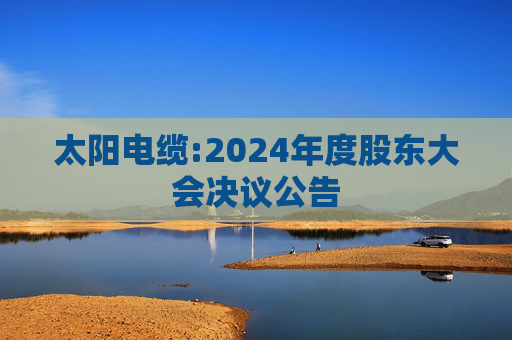 太阳电缆:2024年度股东大会决议公告
