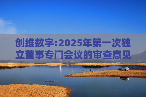 创维数字:2025年第一次独立董事专门会议的审查意见  第1张