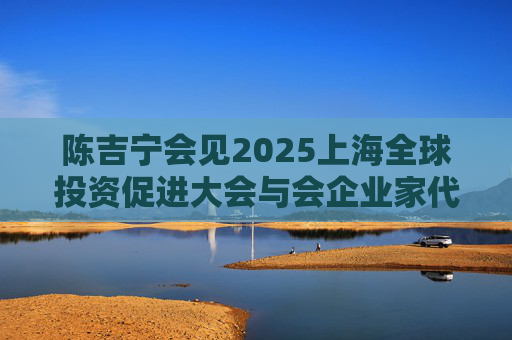 陈吉宁会见2025上海全球投资促进大会与会企业家代表