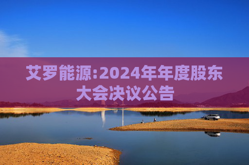 艾罗能源:2024年年度股东大会决议公告