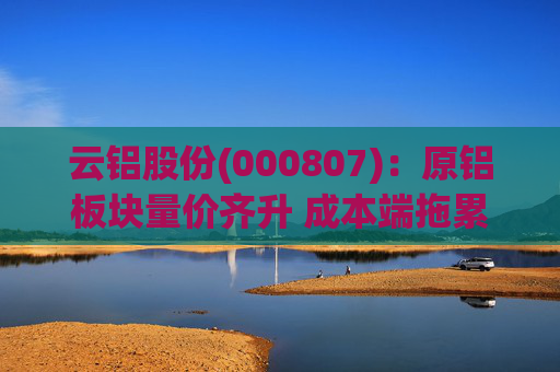 云铝股份(000807)：原铝板块量价齐升 成本端拖累Q4业绩