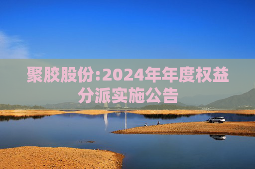 聚胶股份:2024年年度权益分派实施公告  第1张