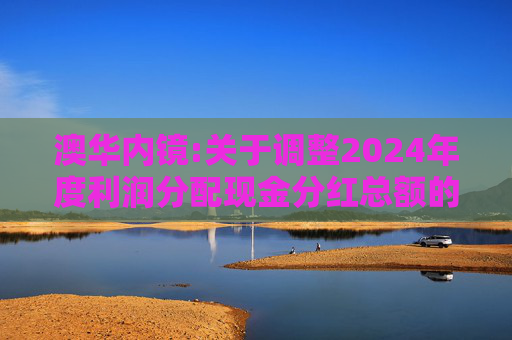 澳华内镜:关于调整2024年度利润分配现金分红总额的公告