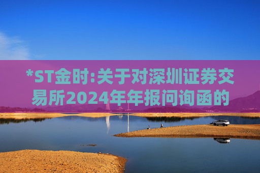 *ST金时:关于对深圳证券交易所2024年年报问询函的回复