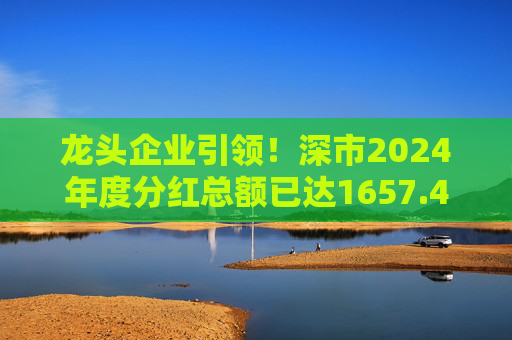 龙头企业引领！深市2024年度分红总额已达1657.47亿元  第1张