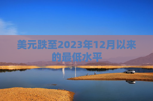 美元跌至2023年12月以来的最低水平  第1张