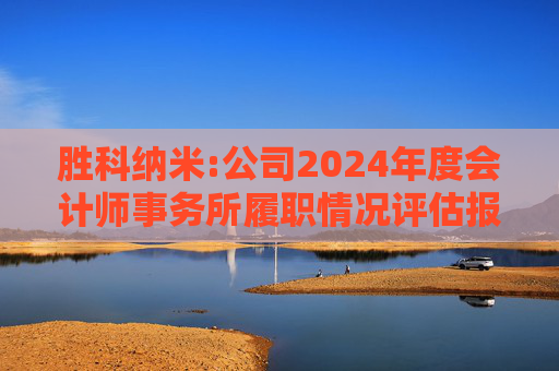 胜科纳米:公司2024年度会计师事务所履职情况评估报告