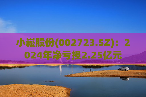 小崧股份(002723.SZ)：2024年净亏损2.25亿元