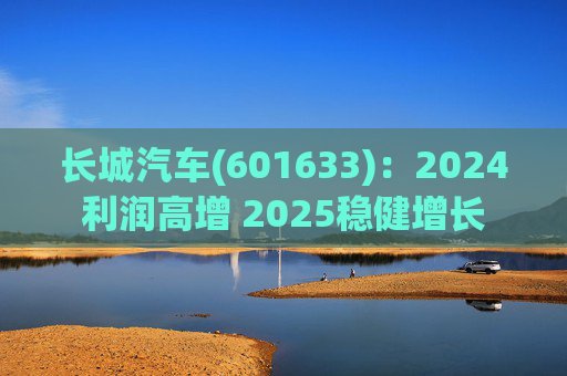 长城汽车(601633)：2024利润高增 2025稳健增长