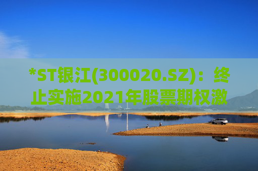 *ST银江(300020.SZ)：终止实施2021年股票期权激励计划及2023年限制性股票激励计划