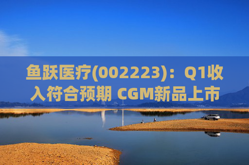 鱼跃医疗(002223)：Q1收入符合预期 CGM新品上市丰富增长动能