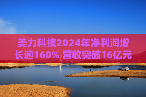 美力科技2024年净利润增长逾160% 营收突破16亿元  第1张