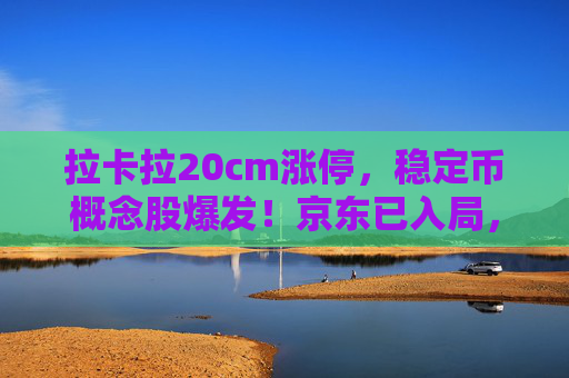 拉卡拉20cm涨停，稳定币概念股爆发！京东已入局，稳定币架构师年薪可达近百万