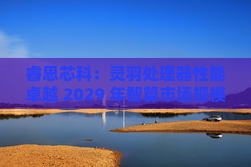 睿思芯科：灵羽处理器性能卓越 2029 年智算市场规模可期