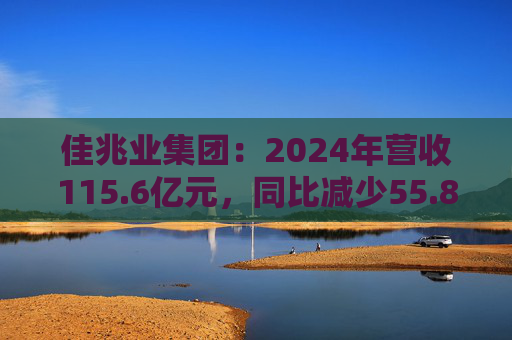 佳兆业集团：2024年营收115.6亿元，同比减少55.8%  第1张