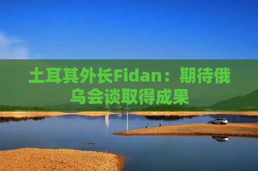土耳其外长Fidan：期待俄乌会谈取得成果