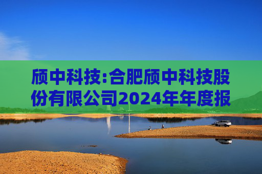 颀中科技:合肥颀中科技股份有限公司2024年年度报告
