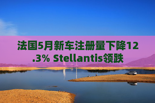 法国5月新车注册量下降12.3% Stellantis领跌
