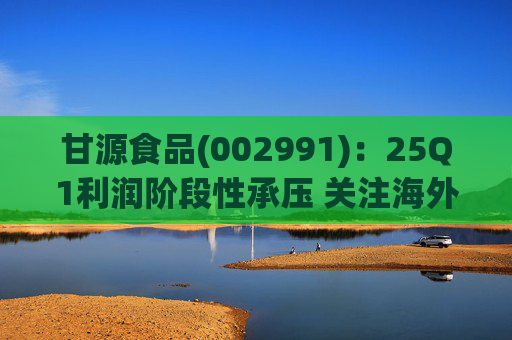 甘源食品(002991)：25Q1利润阶段性承压 关注海外市场突破
