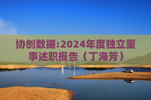 协创数据:2024年度独立董事述职报告（丁海芳）