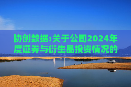 协创数据:关于公司2024年度证券与衍生品投资情况的专项报告
