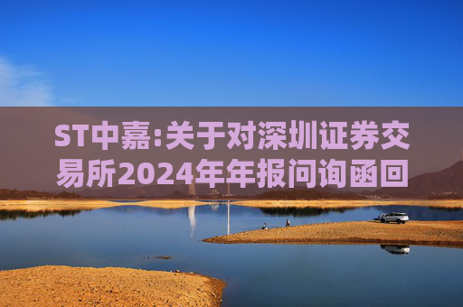 ST中嘉:关于对深圳证券交易所2024年年报问询函回复的公告  第1张