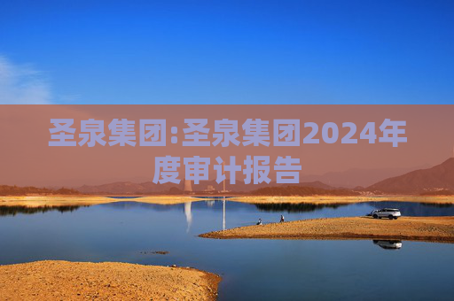 圣泉集团:圣泉集团2024年度审计报告