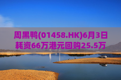 周黑鸭(01458.HK)6月3日耗资66万港元回购25.5万股