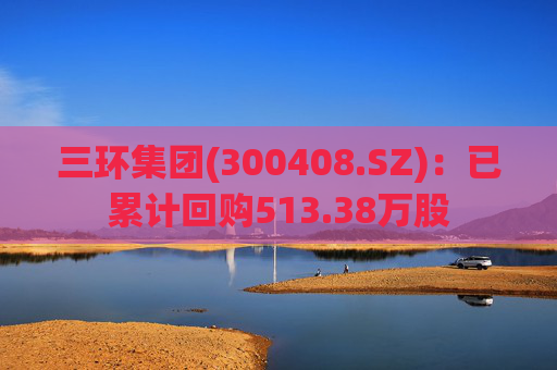 三环集团(300408.SZ)：已累计回购513.38万股
