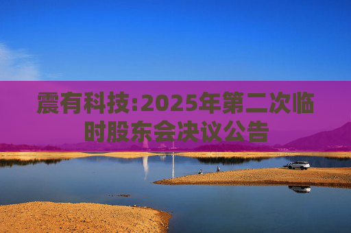 震有科技:2025年第二次临时股东会决议公告