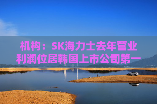 机构：SK海力士去年营业利润位居韩国上市公司第一，首次超过三星电子
