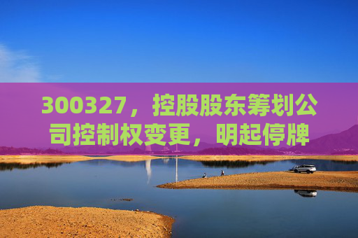 300327，控股股东筹划公司控制权变更，明起停牌  第1张