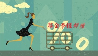 如何认识基金投资限制？限制对投资者有何影响？