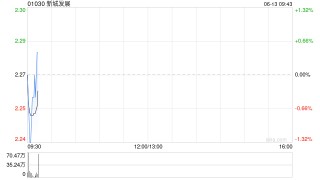 新城发展发行于2028年到期的3亿美元11.88%优先票据