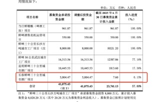 乐惠国际终审胜诉金鑫，追回超过2000万元，长春募投项目承接金鑫沈阳建厂项目，公司称不会造成实质影响